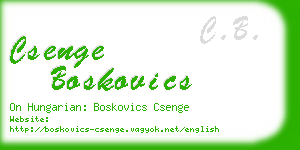 csenge boskovics business card